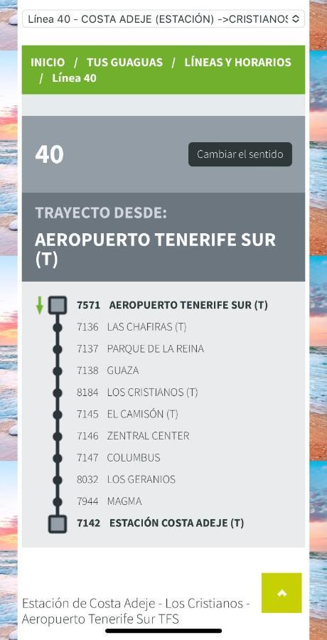 Loft Playa Torviscas,Garaje Gratis , Recien Reformado Costa Adeje (Tenerife) Bagian luar foto